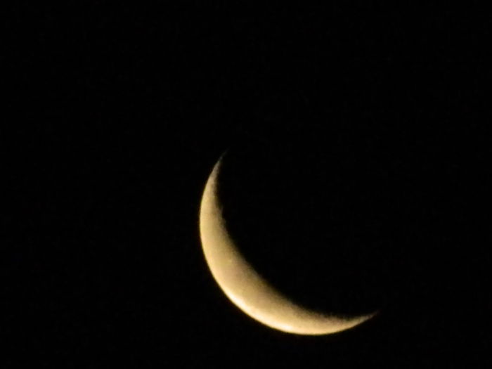 DSCN7519 - AUGUST_2_2014