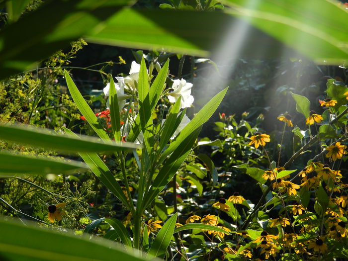 DSCN7560 - AUGUST_2_2014