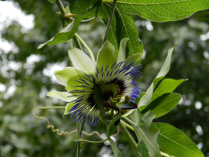 DSCN7567 - AUGUST_2_2014