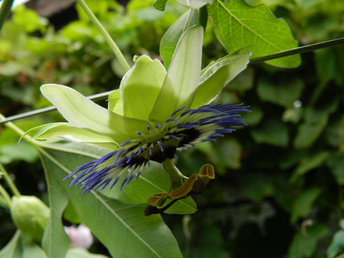 DSCN7570 - AUGUST_2_2014