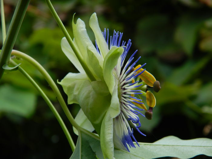 DSCN7608 - AUGUST_2_2014