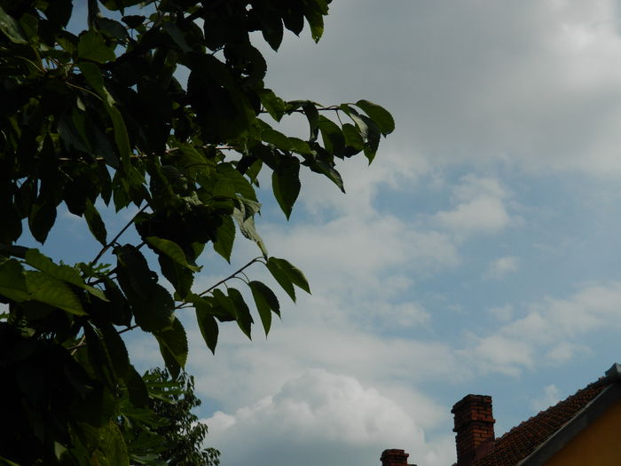 DSCN7626 - AUGUST_2_2014