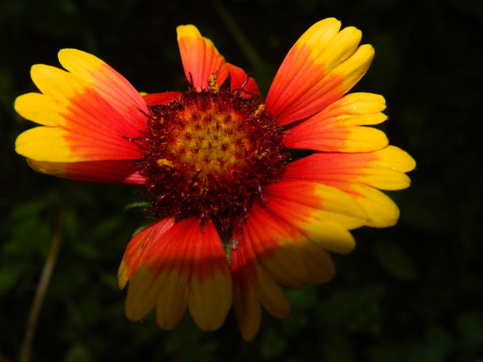 DSCN7685 - AUGUST_2_2014