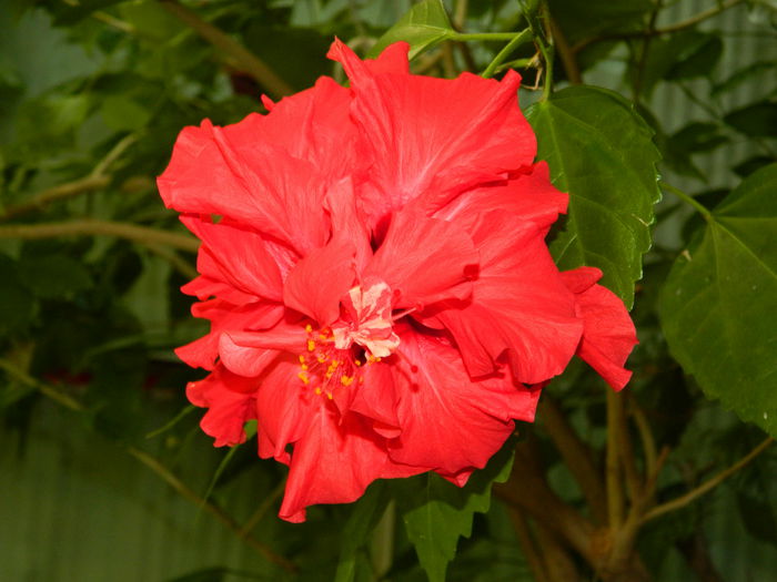 DSCN7351