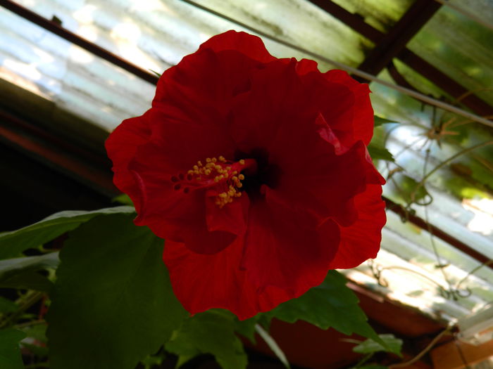 DSCN8099