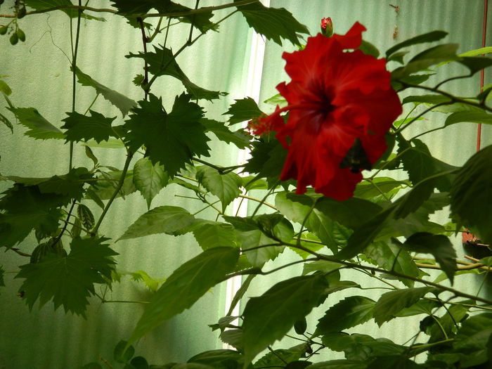DSCN8240