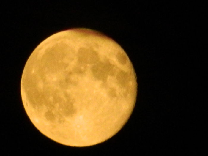 DSCN7046 - HIBISCUSI_2014