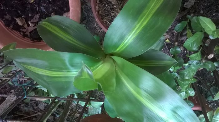 WP_20140827_15_01_39_Pro