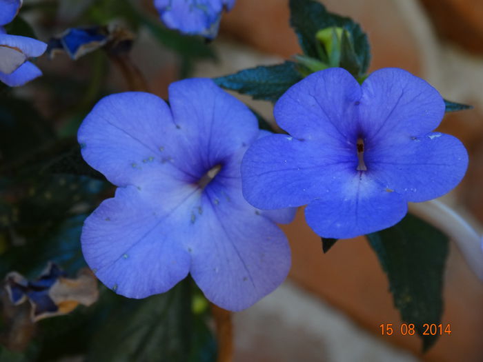 DSC06902