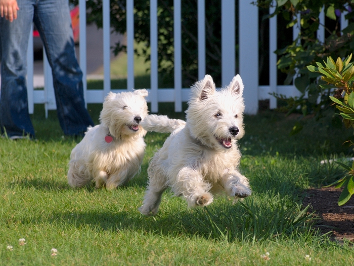 ScOoMpiiii!!!!!!!!!!`