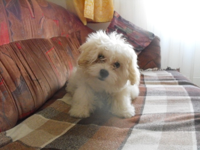 Bijou I love Youuuuuuuuu!