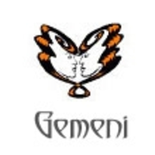 avatar_gemeni - zodii