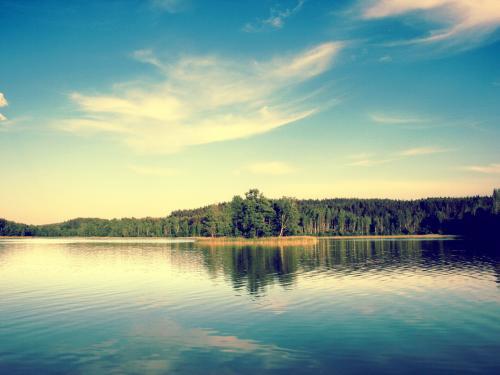 Poze Desktop Wallpaper Parc