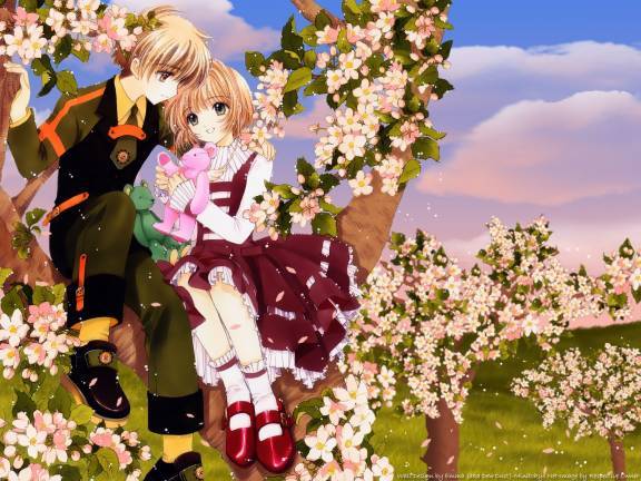 [large][AnimePaper]wallpapers_Card-Captor-Sakura_Dew-Dust_8143 - Card Captor Sakura