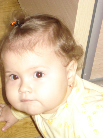 DSC06326 - Luna 12