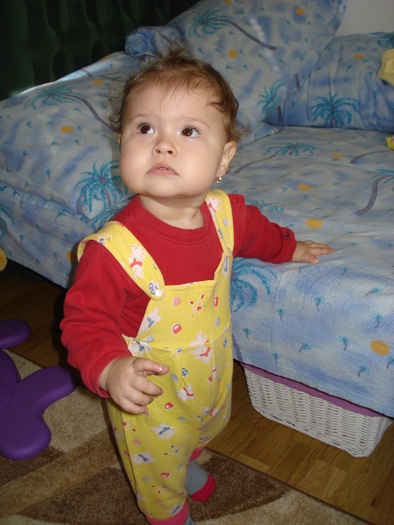 DSC06344 - Luna 12