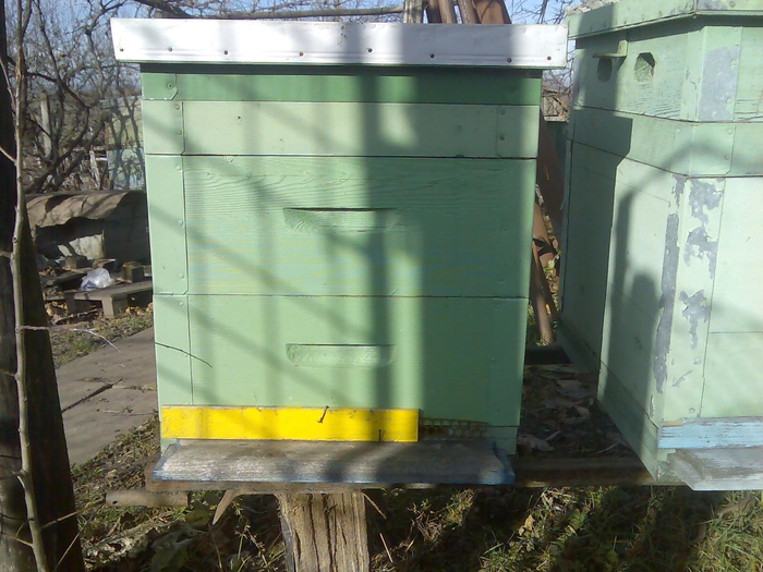 stup 10 rame Dadant - echipament apicol