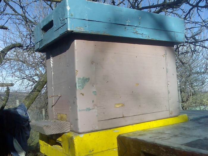 nucleu - echipament apicol