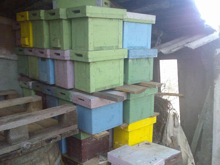 nuclei - echipament apicol