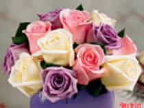 trandafiri colorati - FlOrI fRuMoAsE