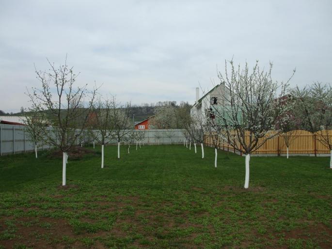 DSCF0874 - gradina