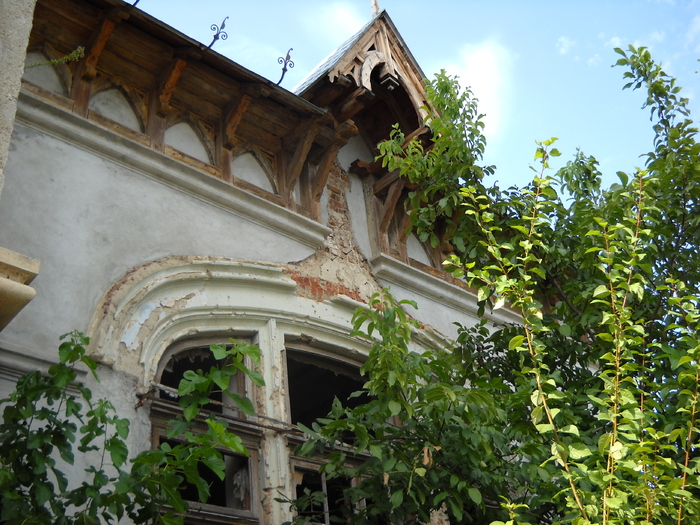 Picture 123; 3.79mb jpeg 1/7/2009 6:29am
