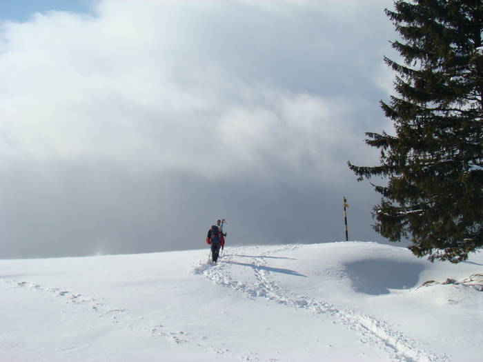 DSC02800