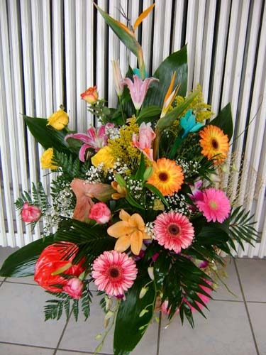cosflori9