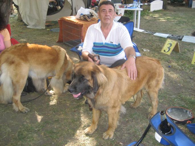 IMG_3341 - EXPO Tg Mures 2008