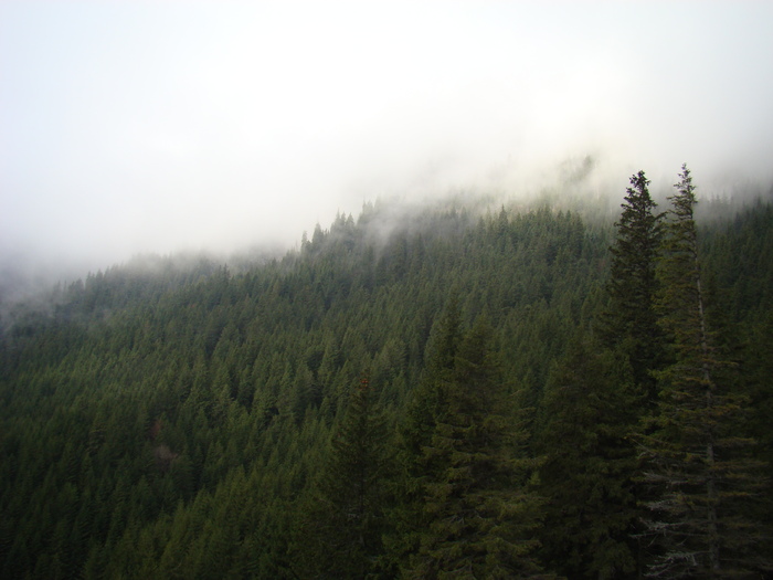 DSC04600