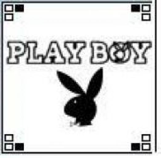 490719[1] - play boy