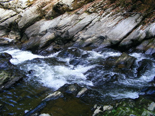DSCF5159