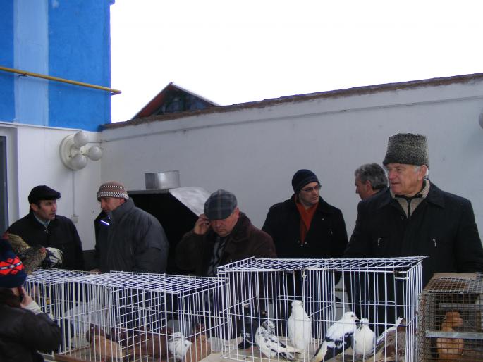 la piata - Expo 2008 Bistrita