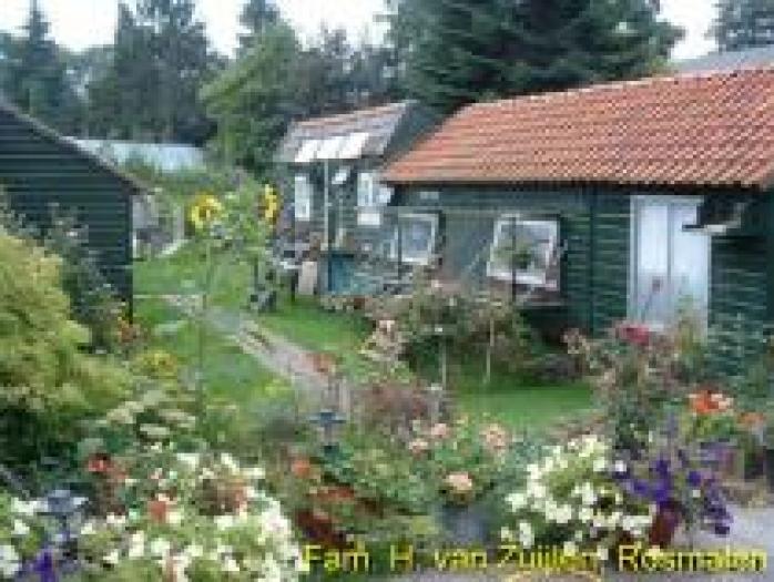 GYAWEFQBLKICQATTGAG - MODELE DE CRESCATORII