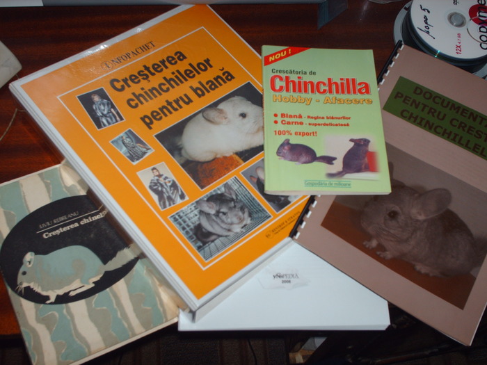 12 - Chinchilla ca experienta personala