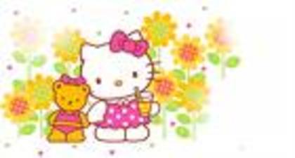 456425 - hello kitty