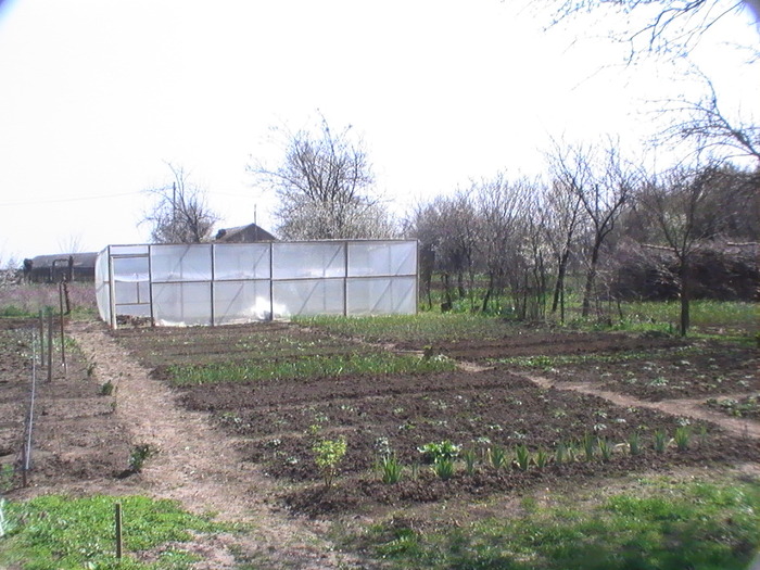 4-Aprilie - Primavara 2009