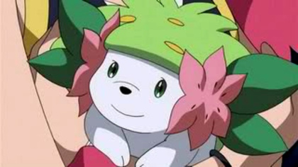 Shaymin - pokemon