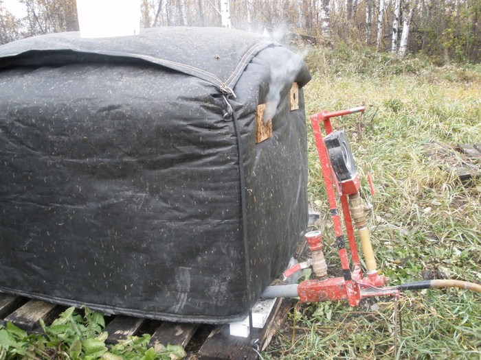 PA250291 - tratament oxalic acid