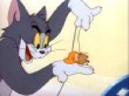 catfishin2 - Tom si Jerry