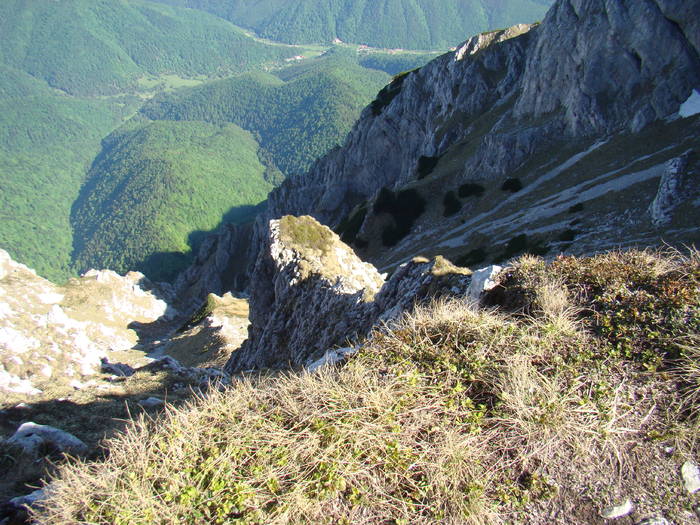 DSC03215 - Piatra Craiului MAI