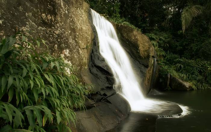 $---Jungle_Waterfall_1920 x 1200 widescreen - poze nature