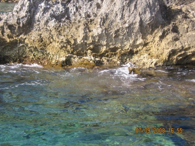 IMG_0555 - 2008 - corfu