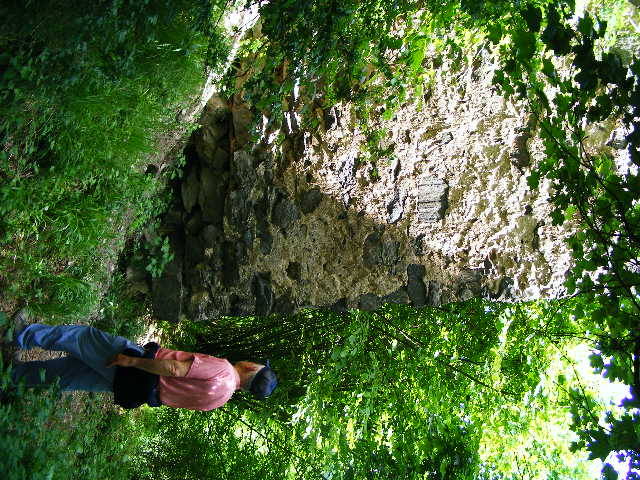 DSCF0561