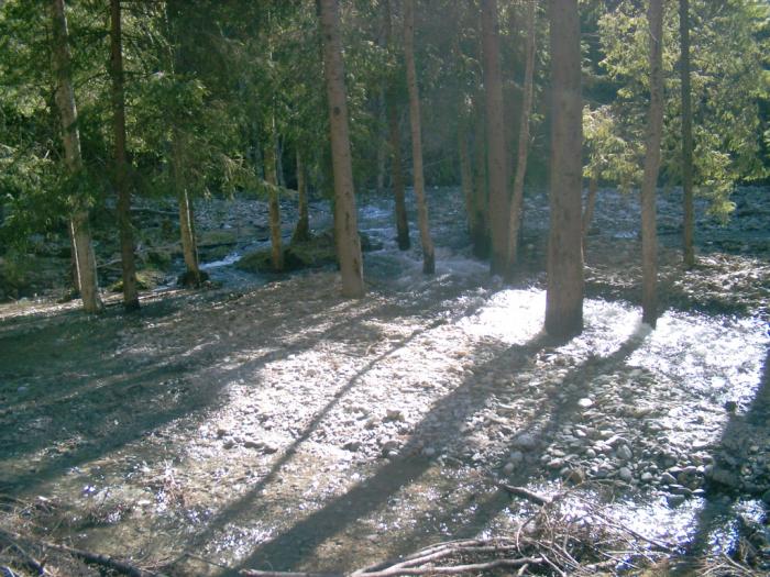 04130131 - Iezer-Papusa