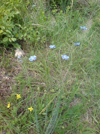 DSC01729 - Peisaje-Natura