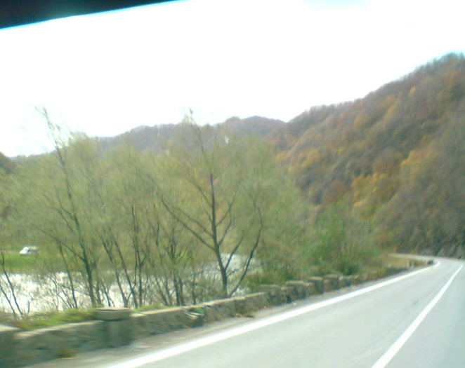 DSC00465 - ROMANIA