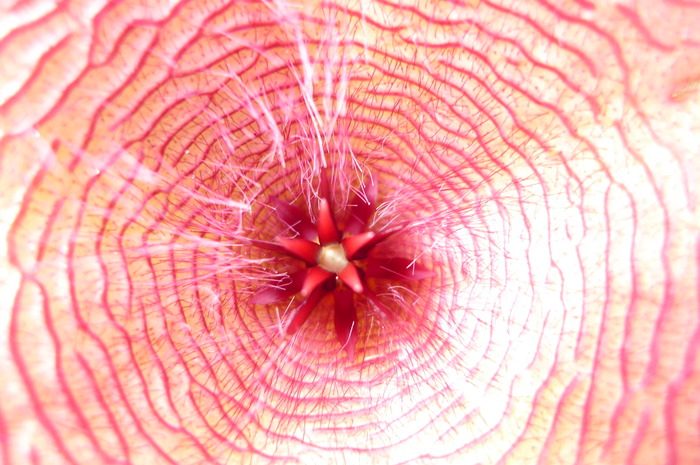 P1000263