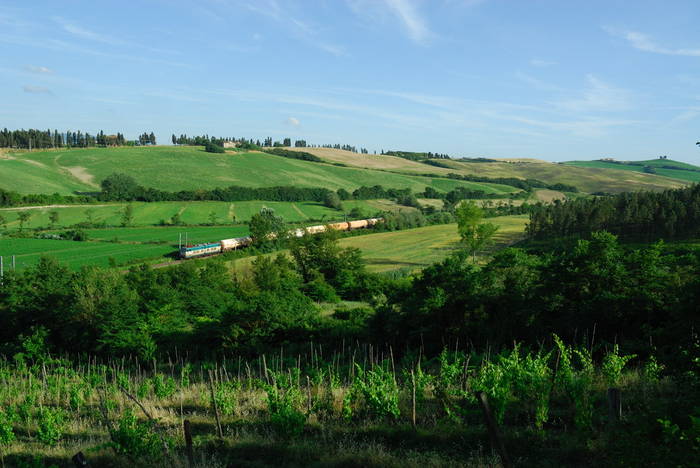 DSC_9850