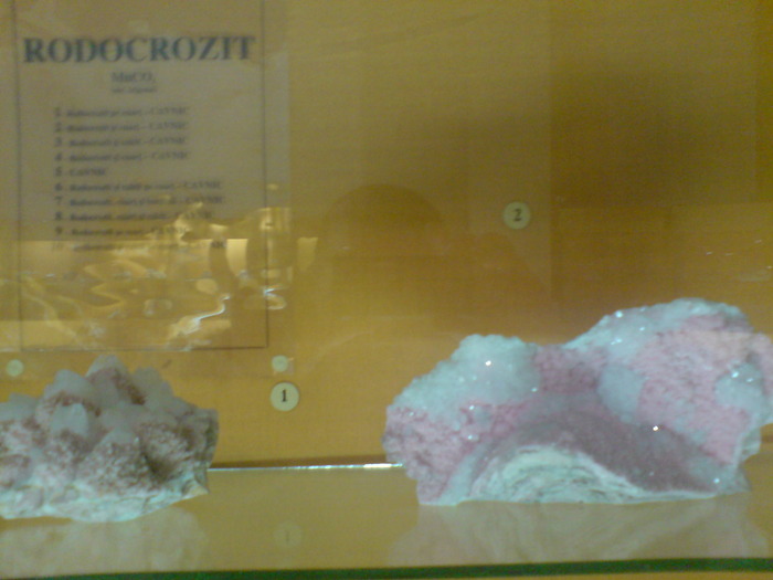 DSC00498 - STEFY BUCURESTI - MUZEUL DE GEOLOGIE